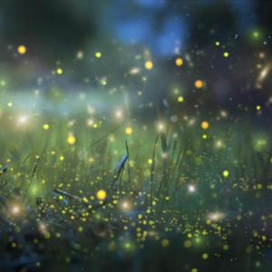 天堂VA蜜桃一区二区三区
