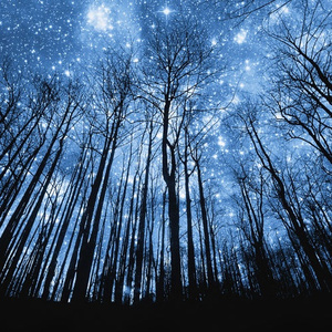 天堂VA蜜桃一区二区三区
